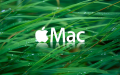 Обои Mac OS 2560х1600